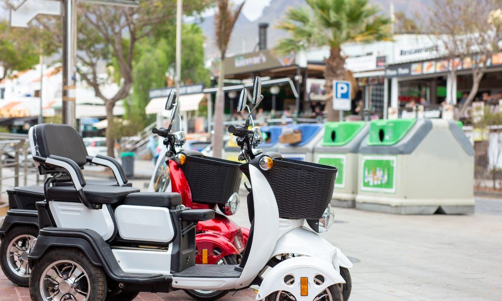 Disneyland Mobility Scooter Rental